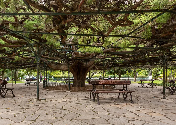 Aparthotel My Serviced - Principe Real 4*