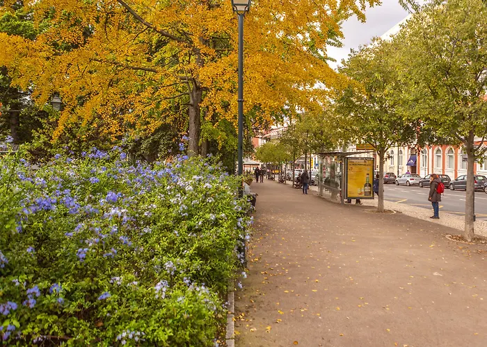 My Serviced - Principe Real Lisbona